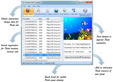  Flash Video Capture